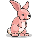 kelinci